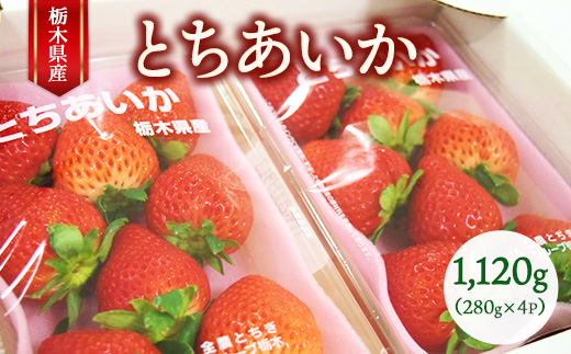栃木県産 とちあいか 280g×4P（合計1,120g） ｜ いちご 大粒 栃木県 果物 フルーツ 苺 イチゴ 　※2026年1月上旬～2月下旬頃に順次発送予定