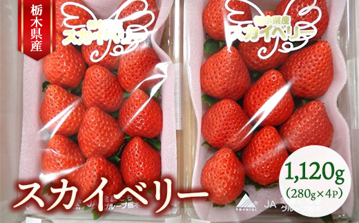 栃木県産 スカイベリー 280g×4P（合計1,120g） ｜ いちご 大粒 栃木県 果物 フルーツ 苺 イチゴ 　※2026年1月上旬～2月下旬頃に順次発送予定