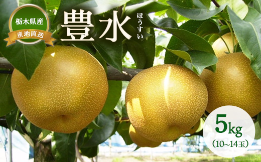 梨 豊水 約5kg（10~14玉）　※離島への配送不可　※2025年9月上旬～9月下旬頃に順次発送予定