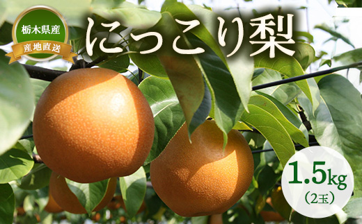 【産地直送】にっこり梨　1.5kg（2玉）　※離島への配送不可　※2025年10月上旬～10月下旬頃より順次発送予定