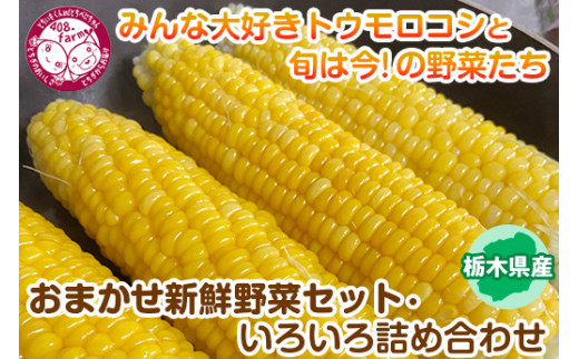 みんな大好きトウモロコシと旬は今！の野菜たち【栃木県産おまかせ新鮮野菜セット・いろいろ詰め合わせ】｜ にんじん オクラ きゅうり じゃがいも トマト 玉ねぎ 大根 枝豆…　※2022年6月～8月頃に順次発送予定