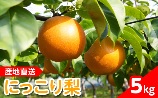 【産地直送】にっこり梨（5玉～7玉） ◇ ※離島への配送不可　※2025年10月上旬～10月下旬頃より順次発送予定