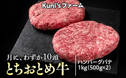 とちおとめ牛　ハンバーグパテ1kg(500g×2) 牛肉 パテ ※離島への配送不可