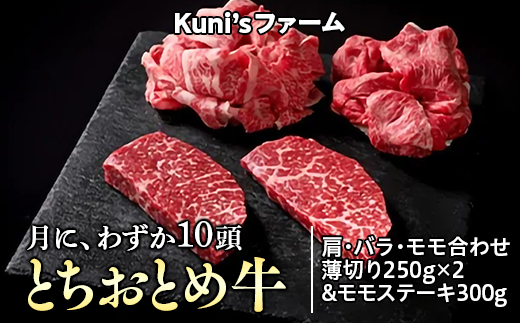 とちおとめ牛　肩・バラ・モモ合わせ薄切り250g×2＆モモステーキ300gセット｜牛肉 希少 炒め物 詰め合わせ