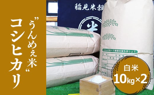 [令和6年度産]栃木県上三川町産コシヒカリ・白米 (10kg×2袋) ◆ | 国産 栃木県産 コシヒカリ 米 お米 単一原料米 精米 白米 栃木米 とちぎ米 産地直送 送料無料