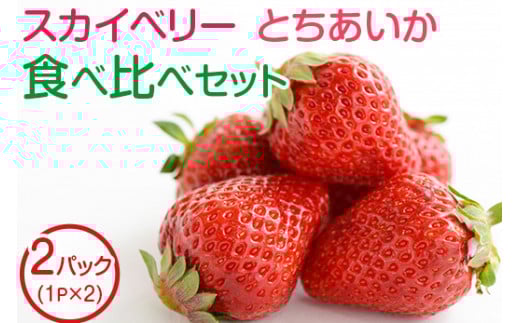 田口いちごファームの スカイベリー・とちあいかの食べ比べセット ｜ いちご 苺 イチゴ 栃木県産 ※2026年1月中旬～2月下旬頃に順次発送予定 ※北海道、沖縄、四国、九州、離島への配送不可