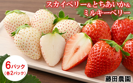 ＜先行予約＞ 【スカイベリー とちあいか ミルキーベリー】鬼怒川の恵みをたっぷり受けた　栃木県上三川（かみのかわ）町産　6パック（各2パック） いちご イチゴ 苺 白いちご 紅白いちご ※2024年1月中旬～3月中旬頃に順次発送 ※離島への配送不可