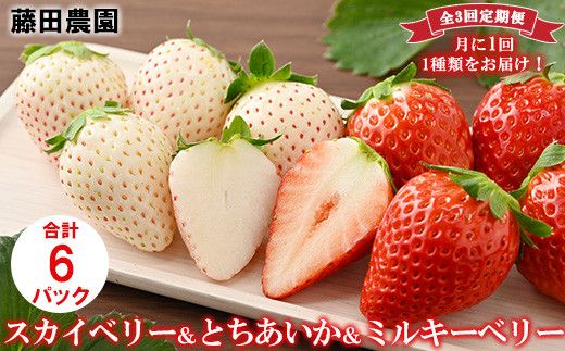 【定期便】栃木のいちご3ヶ月お届け（スカイベリー・とちあいか・ミルキーベリー）2パック×3回 ※2024年1月～3月頃に順次発送 ※離島への配送不可 ※着日指定不可