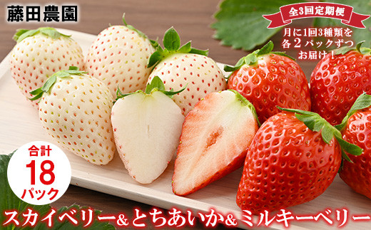 【定期便】栃木のいちご3ヶ月お届け 食べ比べセット（スカイベリー・とちあいか・ミルキーベリー）6パック×3回 ※2024年1月～3月頃に順次発送 ※離島への配送不可 ※着日指定不可