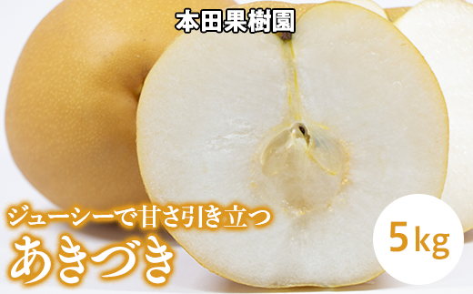 栃木県産梨「あきづき」 梨 なし 5kg ※北海道・沖縄・離島への配送不可 ※2025年9月下旬頃より順次発送予定