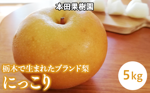 栃木県産梨「にっこり」 梨 なし 5kg ※北海道・沖縄・離島への配送不可 ※2024年10月中旬から順次発送予定