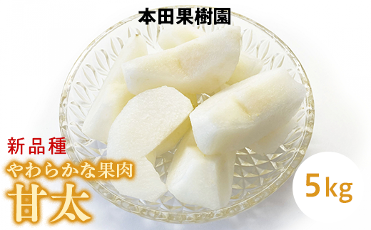 栃木県産梨「甘太」 梨 なし 5kg ※北海道・沖縄・離島への配送不可 ※2025年9月下旬頃より順次発送予定