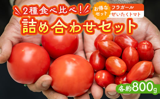 ぜいたくトマト 約1.7kg | 国産 栃木県上三川町産 野菜 甘い 濃厚 トマト とまと ぜいたくトマト 数量限定 送料無料 ※トマトが苦手な方でも是非お試しになってみて下さい!