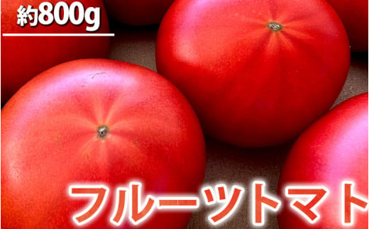 フルーツトマト 1キロ箱詰(正味800グラム程度)※2024年1月上旬〜4月下旬頃に順次発送予定
