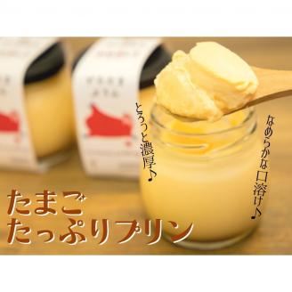 AA018 道の駅ましこオリジナル　とろたまぷりん8個セット