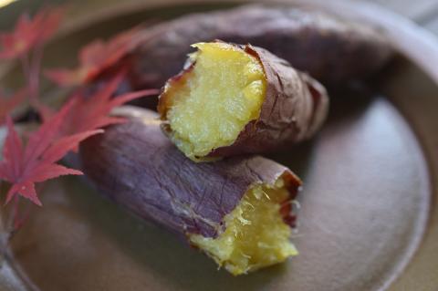 糖化熟成 さつまいも (紅はるか) 約 6kg｜栃木県 益子町 ふるさと納税 里山 熟成 さつまいも 紅はるか プレミアム 蜜芋 (AU001-2)