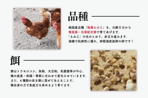 AQ004　高橋ファームの丈夫卵 60個入り