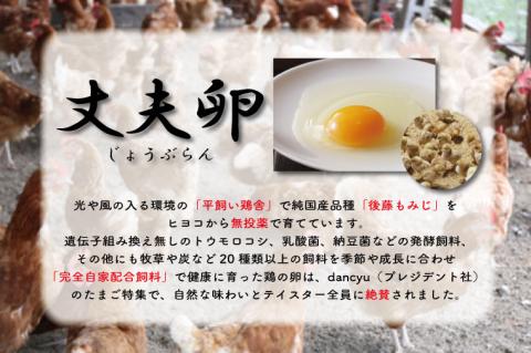 AQ005　高橋ファームの丈夫卵12個+紅カブトエビ玄米2kg