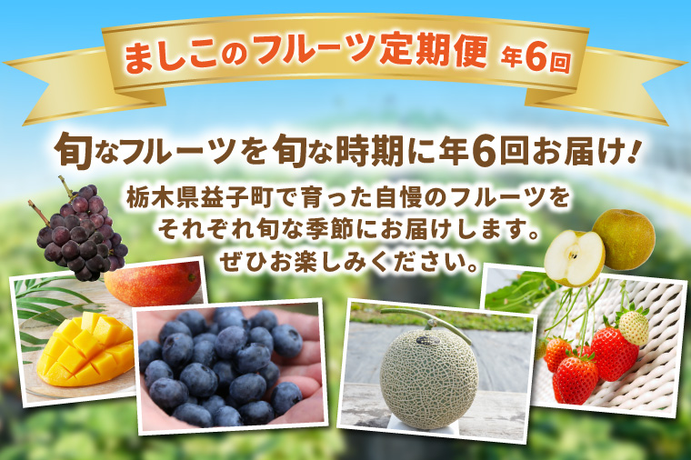 ＼旬なフルーツをお届け／ましこのフルーツ定期便 ＜年6回＞ | イチゴ ブルーベリー マンゴー 梨 ブドウ メロン 高級果物 フルーツ 新鮮 フレッシュ 旬 人気 ましこの果物 道の駅ましこ 果物 詰合せ セット 定期便 全6回 (AA043)