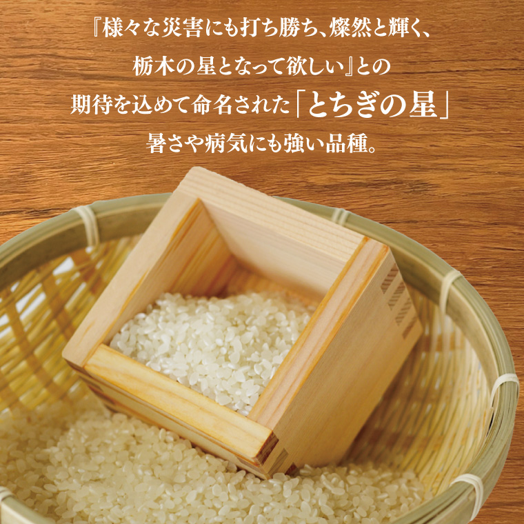★新米 令和7年★ 米 5kg 白米 「とちぎの星」  山﨑観光農園 栃木県 益子町 ふるさと納税 お米 とちぎの星 白米 精米 5キロ 令和7年産 (AU023)