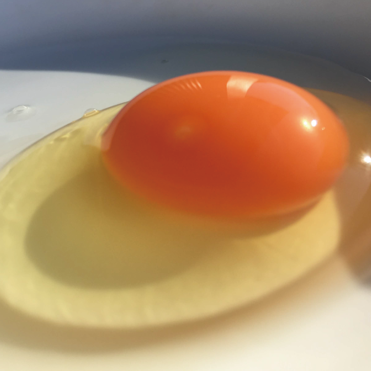 ＼2026年2月より順次配送／【定期便】黒麹育ちの赤たまご30個（年12回） 益子町 ふるさと納税 たまご 卵 タマゴ 赤たまご 人気 濃厚 食べチョク 定期便 (BC003) 12ヶ月定期便