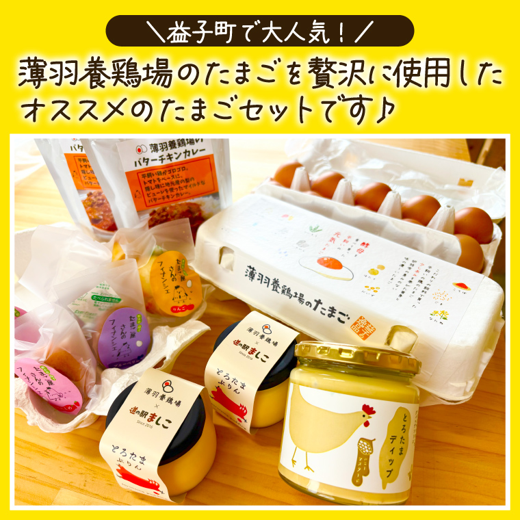 ＼薄羽養鶏場の濃厚たまごを使用／ たまごセット 濃厚たまご＆絶品加工品 6点セット｜栃木県 益子町 たまご 卵 タマゴ 平飼い 酵母平飼い 人気 濃厚 食べチョク カレー チキンカレー プリン とろたまぷりん フィナンシェ 焼き菓子 ディップソース (BC009)