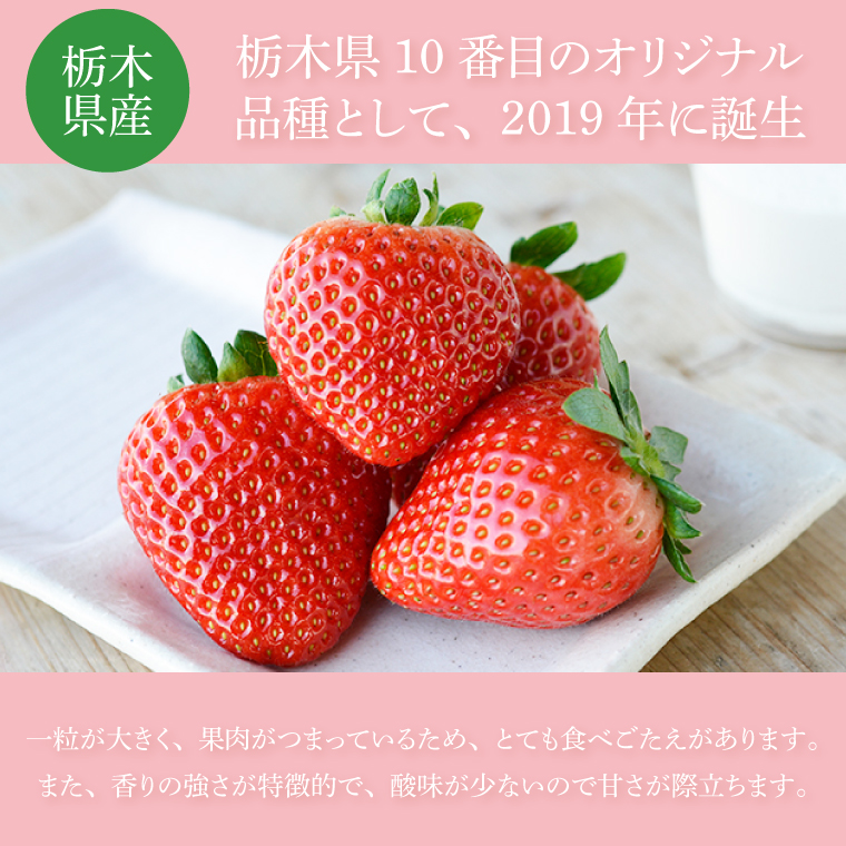 【合計20～40粒入り】いちご とちあいか 600g以上 (300g以上×2パック)｜栃木県 益子町 ふるさと納税 鈴木農園 L 2L 3L ご家庭用 家族用 食べやすい 一口サイズ 粒たっぷり 大満足 いちご イチゴ 苺 果物 フルーツ とちあいか 人気 600g以上 1パックあたり10～20粒入り （DJ003） L～3Lサイズ