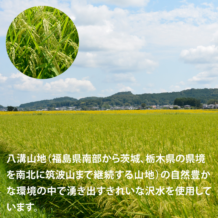 ＼令和7年産／【数量限定】あい　farm　やなぎのお米　令和7年産 コシヒカリ 白米 5kg | 栃木県 益子町 ふるさと納税 お米 米 5kg 白米 (DQ007)