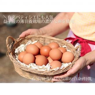 AA018 道の駅ましこオリジナル　とろたまぷりん8個セット