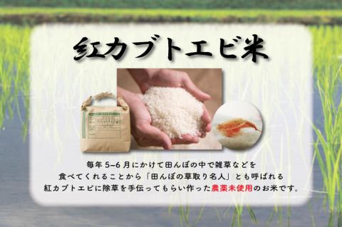 AQ005　高橋ファームの丈夫卵12個+紅カブトエビ玄米2kg
