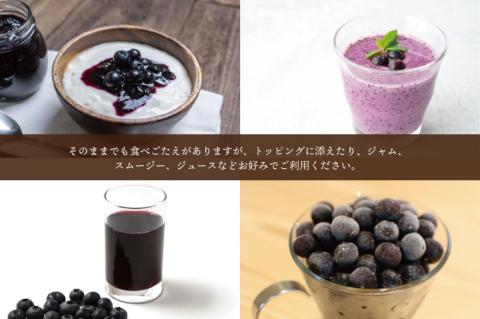 ＼数量限定／益子町産 冷凍ブルーベリー 1㎏ フルーツ 果物 (AA020-1)