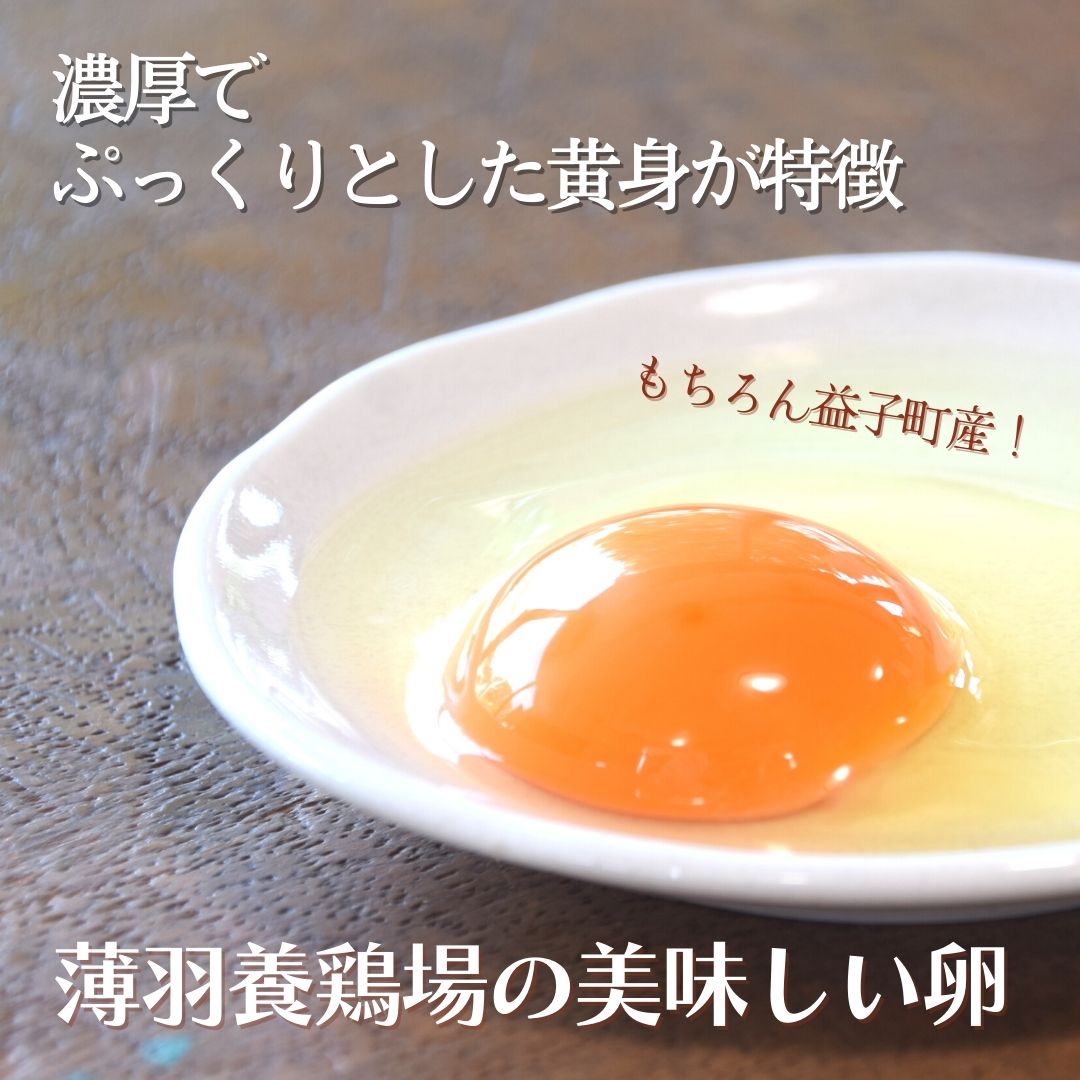 ＜6ヶ月定期便＞旬の採れたてぜいたく野菜セット（卵付き）2人用 益子町 ふるさと納税 野菜セット 野菜 やさい セット 採れたて 卵 たまご 定期便(AA034)