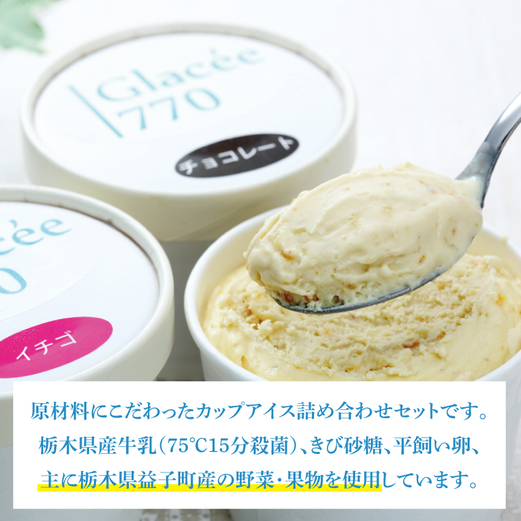 【ギフト対応可】無添加アイスクリームセット 益子町 ふるさと納税 無添加 アイスクリーム こだわり カップアイス 牛乳 きび砂糖 卵 たまご 野菜 果物 フルーツ(AB001)