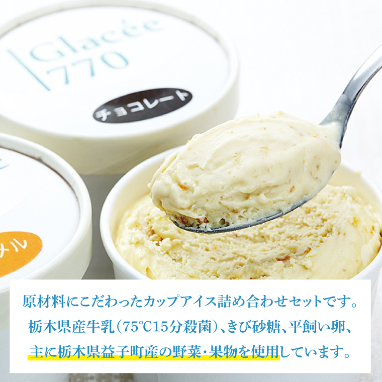 【定期便】無添加アイスクリーム季節の味3種と定番7種セット（年3回：4月・8月・12月） 益子町 ふるさと納税 無添加 アイスクリーム こだわり カップアイス 牛乳 きび砂糖 卵 たまご 野菜 果物 フルーツ 定期便(AB003)