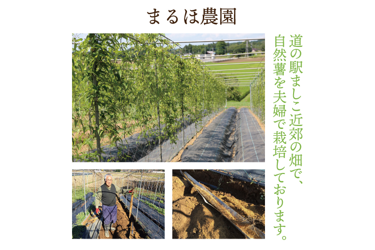 【ギフト対応可】益子・まるほ農園の自然薯そばと自然薯うどん　5袋セット（AJ001）