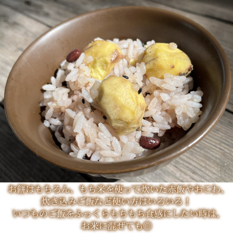 山﨑観光農園のもち米 5kg | 栃木県 益子町 ふるさと納税 お米 米 もち米 5kg 令和7年産 (AU008)