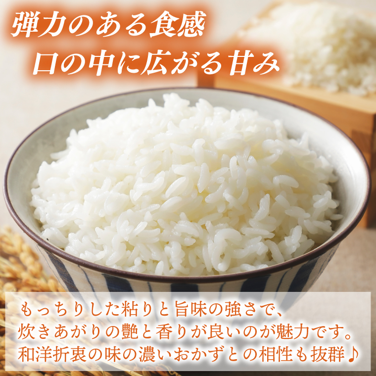 ＼新米 先行予約 11月より順次発送予定／★令和7年産★ 米 5kg 白米 精米 「コシヒカリ」山崎観光農園 栃木県 益子町 ふるさと納税 お米 こしひかり 白米 精米 5キロ 高評価 令和7年 先行予約 (AU014-11)
