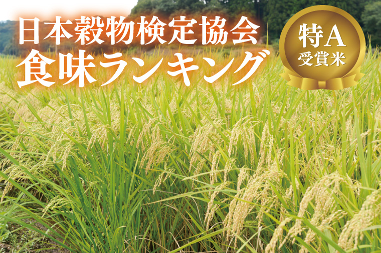 【全6回定期便】＜毎月＞ 山﨑観光農園のお米 とちぎの星 白米 5kg（合計 30kg）単一原料米 100% ｜栃木県 益子町 ふるさと納税 お米 米 白米 精米 5kg 6ヵ月 令和7年産 定期便（AU036）