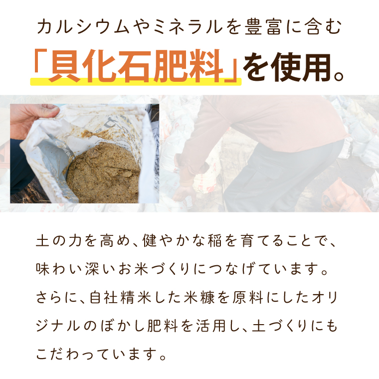 ＼先行予約・山﨑観光農園のお米　／コシヒカリ　白米5kg｜ 益子町 お米 コシヒカリ 白米 精米 5kg（AU044）