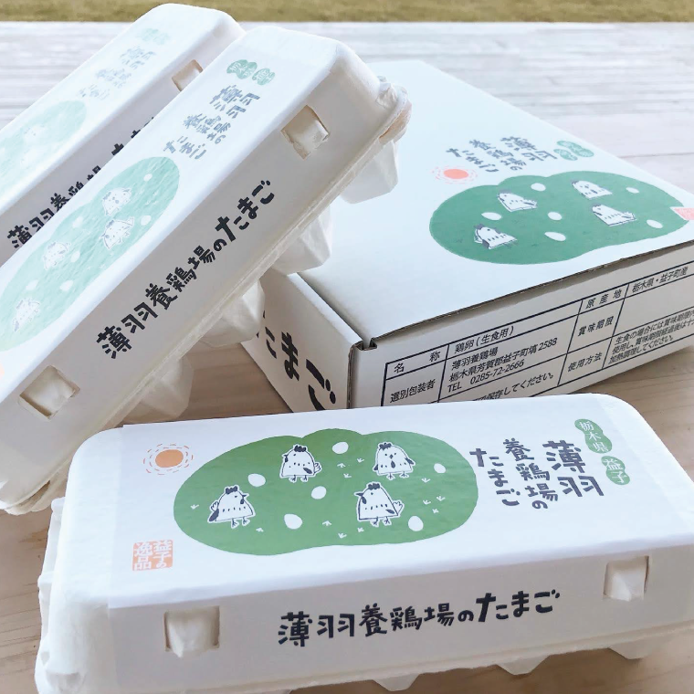 ＼2026年2月より順次配送／【定期便】黒麹育ちの赤たまご30個（年3回） 益子町 ふるさと納税 たまご 卵 タマゴ 赤たまご 人気 濃厚 食べチョク 定期便 (BC005) 3ヶ月定期便