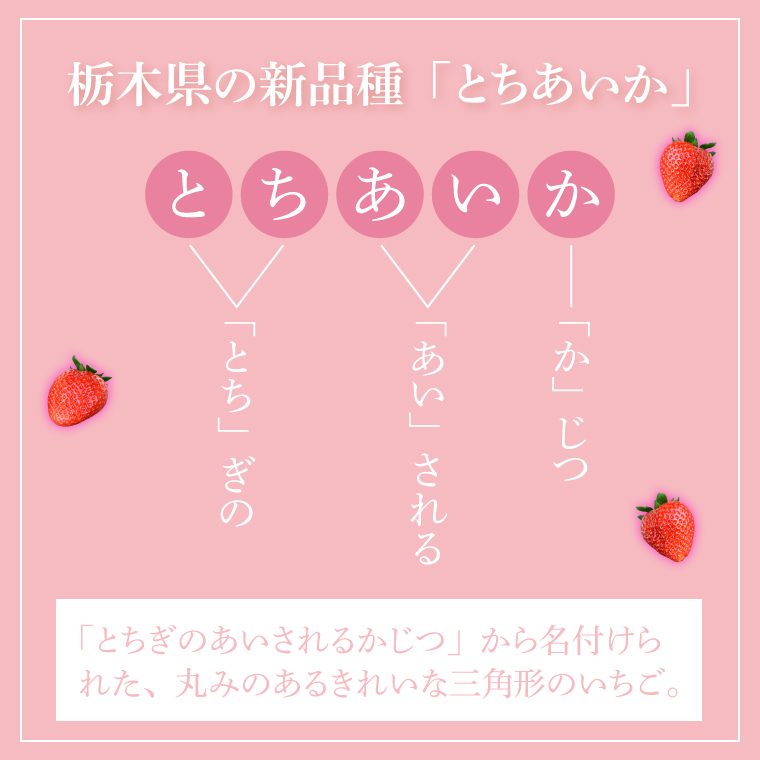【合計20～40粒入り】いちご とちあいか 600g以上 (300g以上×2パック)｜栃木県 益子町 ふるさと納税 鈴木農園 L 2L 3L ご家庭用 家族用 食べやすい 一口サイズ 粒たっぷり 大満足 いちご イチゴ 苺 果物 フルーツ とちあいか 人気 600g以上 1パックあたり10～20粒入り （DJ003） L～3Lサイズ