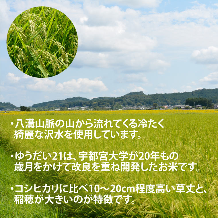 TVでも話題のお米 ゆうだい21 ＼令和7年産／【数量限定】あい　farm　やなぎのお米　令和7年産 ゆうだい21 玄米 5kg | 栃木県 益子町 ふるさと納税 お米 米 5kg 玄米 (DQ008)