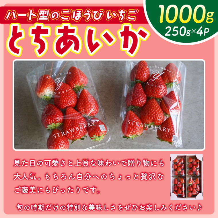【2026年1月発送開始】【先行予約】ハート型のご褒美いちご とちあいか 合計1kg (250ｇ×4パック) | 栃木県 ふるさと納税 いちご イチゴ 苺 果物 フルーツ とちあいか 熟成 ご褒美 ハート型 こだわり (DS001)
