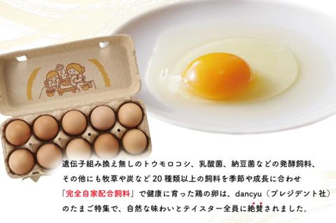 AQ012　【6ヶ月定期便】高橋ファームの丈夫卵30個入り