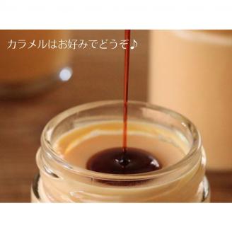 AA018 道の駅ましこオリジナル　とろたまぷりん8個セット