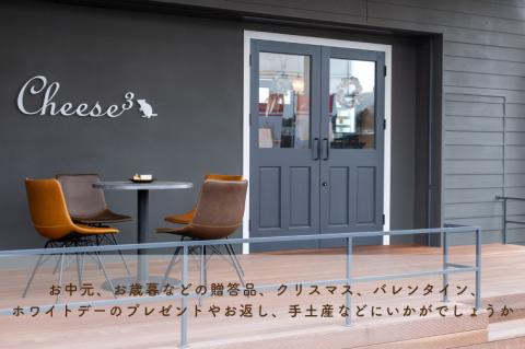 ベイクドチーズケーキと3層のNYチーズケーキの冷凍ハーフ＆ハーフケーキ｜栃木県 益子町 ふるさと納税 チーズケーキ ケーキ 冷凍ケーキ（CP001）