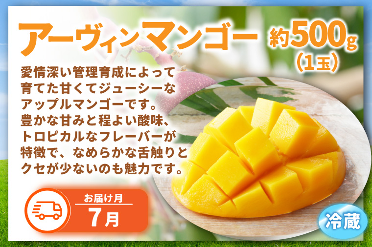 ＼旬なフルーツをお届け／ましこのフルーツ定期便 ＜年6回＞ | イチゴ ブルーベリー マンゴー 梨 ブドウ メロン 高級果物 フルーツ 新鮮 フレッシュ 旬 人気 ましこの果物 道の駅ましこ 果物 詰合せ セット 定期便 全6回 (AA043)