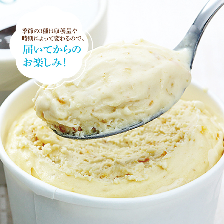【定期便】無添加アイスクリーム季節の味3種と定番7種セット（年3回：4月・8月・12月） 益子町 ふるさと納税 無添加 アイスクリーム こだわり カップアイス 牛乳 きび砂糖 卵 たまご 野菜 果物 フルーツ 定期便(AB003)