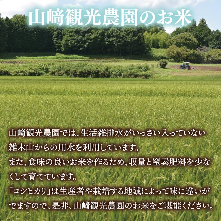 ＼新米 先行予約 11月より順次発送予定／★令和7年産★ 米 5kg 白米 精米 「コシヒカリ」山崎観光農園 栃木県 益子町 ふるさと納税 お米 こしひかり 白米 精米 5キロ 高評価 令和7年 先行予約 (AU014-11)