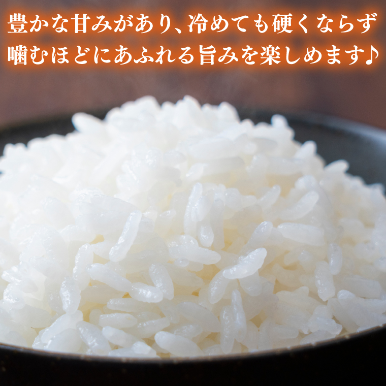 ★新米 令和7年★ 米 5kg 白米 「とちぎの星」  山﨑観光農園 栃木県 益子町 ふるさと納税 お米 とちぎの星 白米 精米 5キロ 令和7年産 (AU023)
